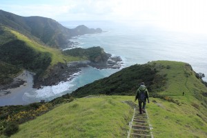 Cape Reinga-046